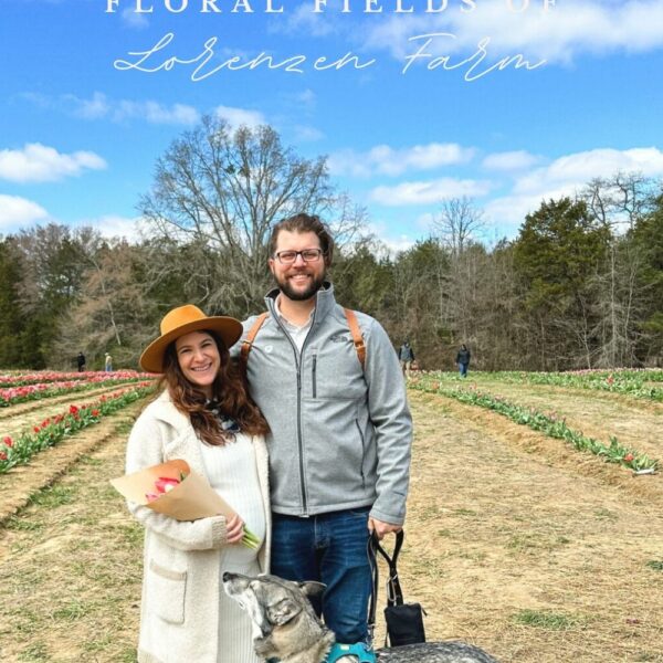 Your Guide to the Floral Fields of Lorenzen Farm